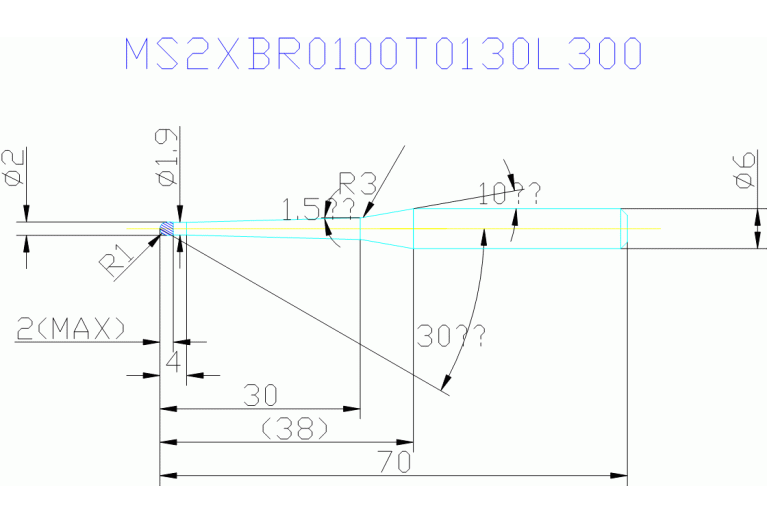 MS2XBR0100T0130L300