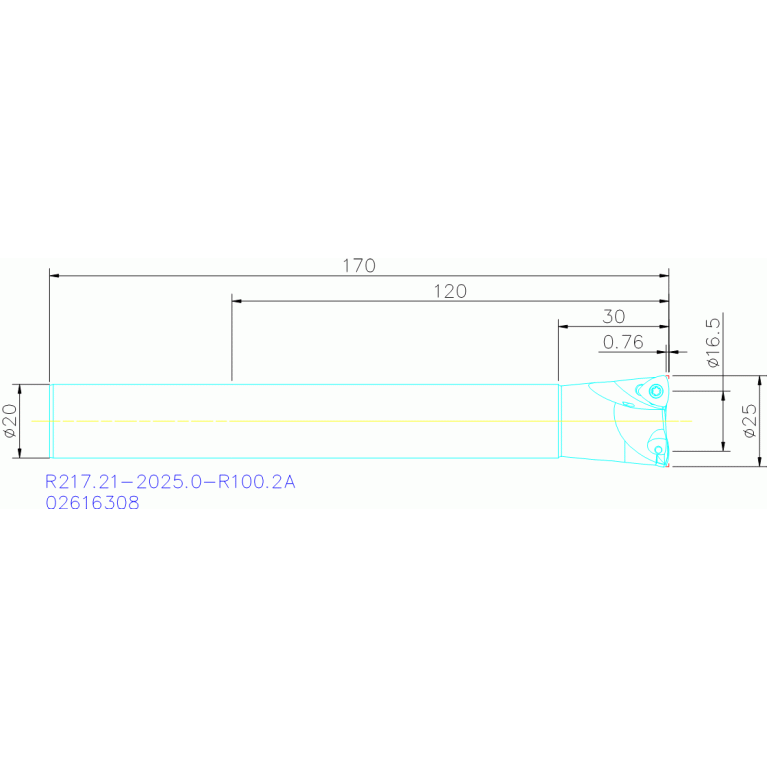 R217.21-2025.0-R100.2A