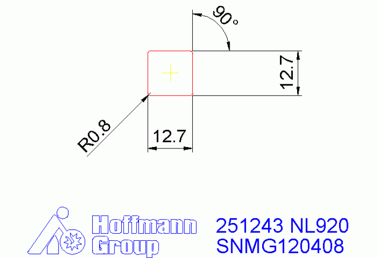 251243 NL920