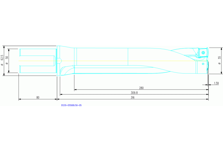 DS20-D5500L50-05