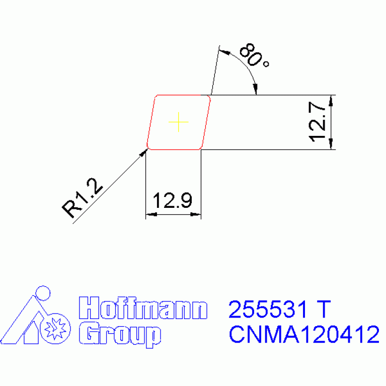 255531 T