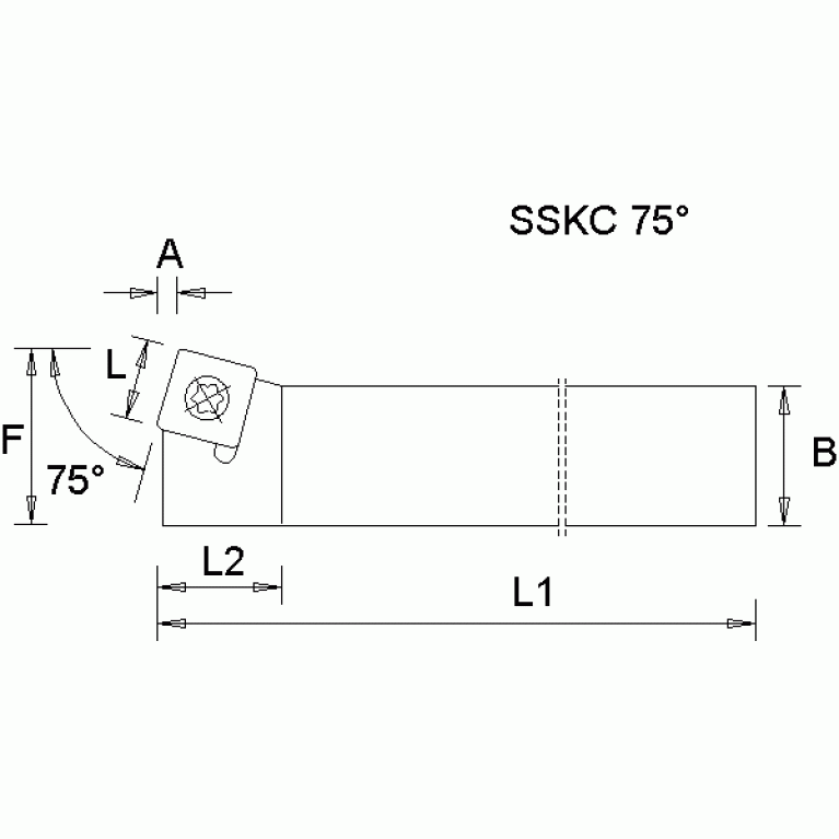 SSKCL1212N09