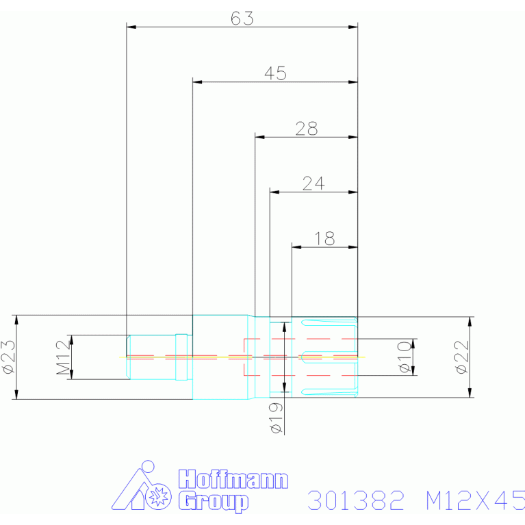 301382 M12X45