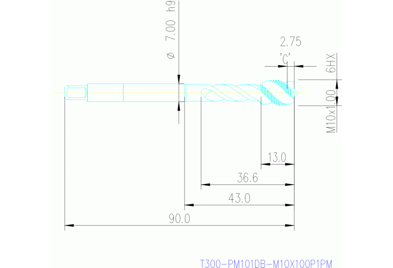 T300-PM101DB-M10X100P1PM