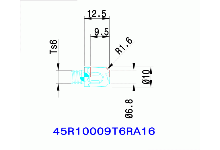 45R10009T6RA16 IN2005