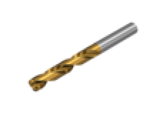 860.1-1000-031A1-PM P1BM