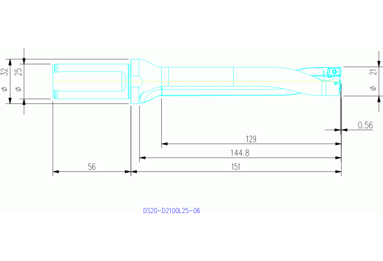 DS20-D2100L25-06