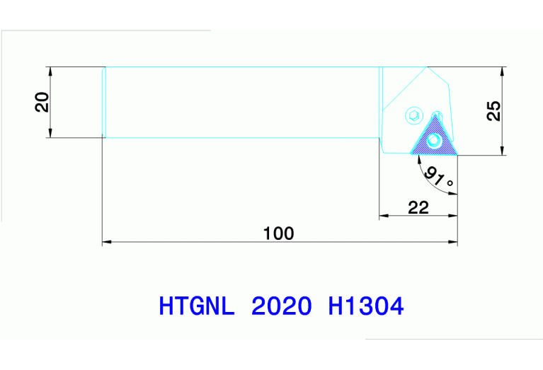 HTGNL 2020 H1304