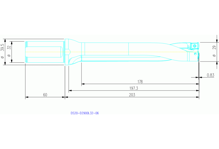 DS20-D2900L32-06