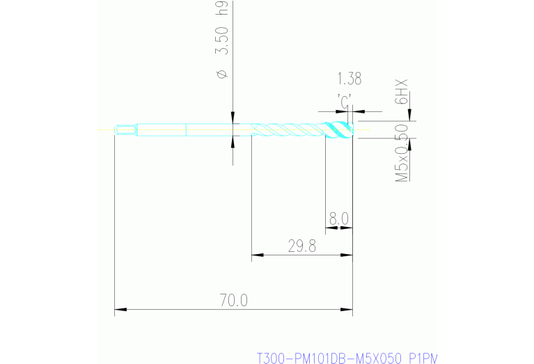 T300-PM101DB-M5X050 P1PM