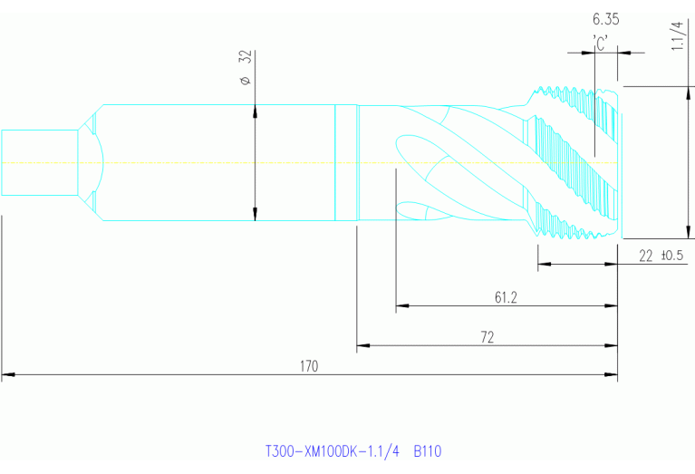 T300-XM100DK-1.1/4 B110