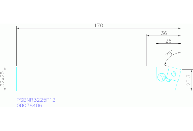 PSBNR3225P12