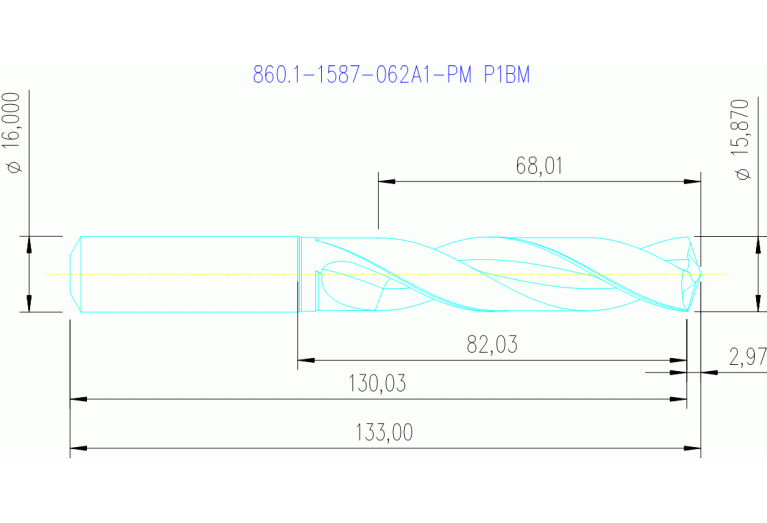 860.1-1587-062A1-PM P1BM