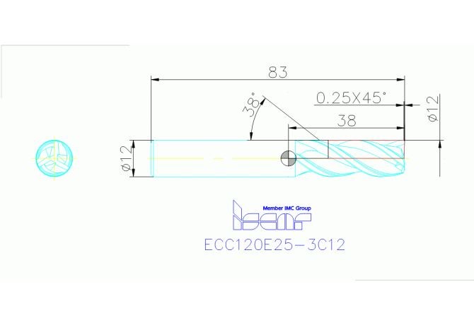 ECC120E25-3C12 IC300