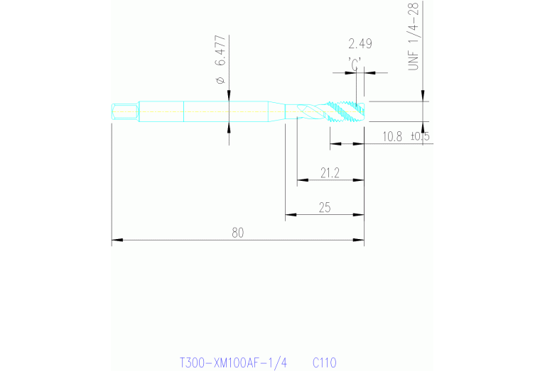 T300-XM100AF-1/4 C110
