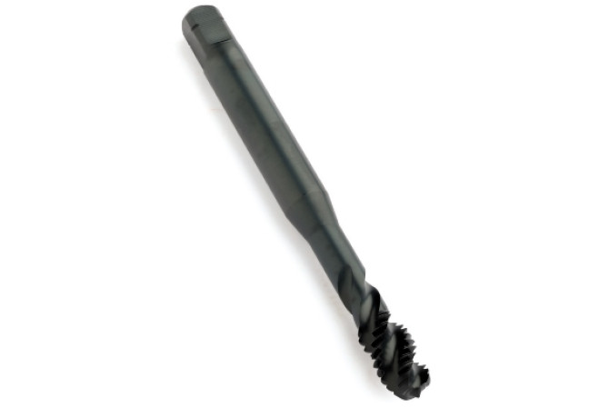EX01M166G