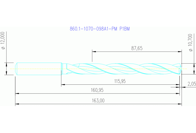 860.1-1070-098A1-PM P1BM