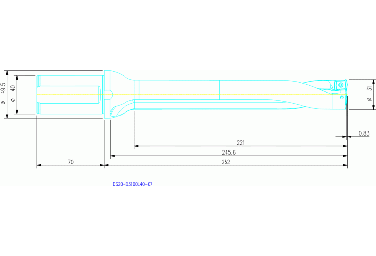 DS20-D3100L40-07