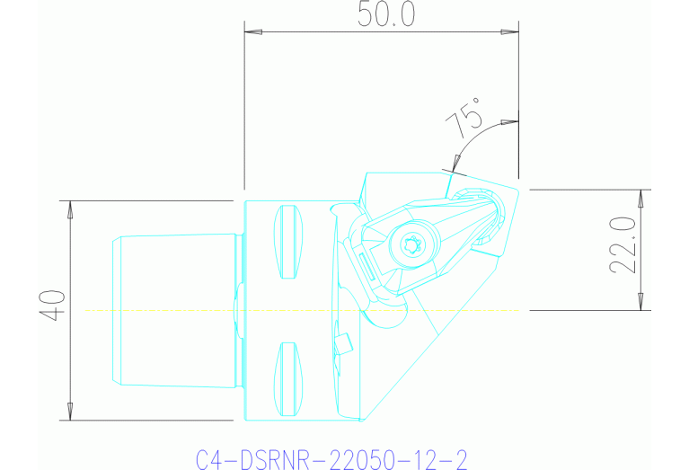 C4-DSRNR-22050-12-2