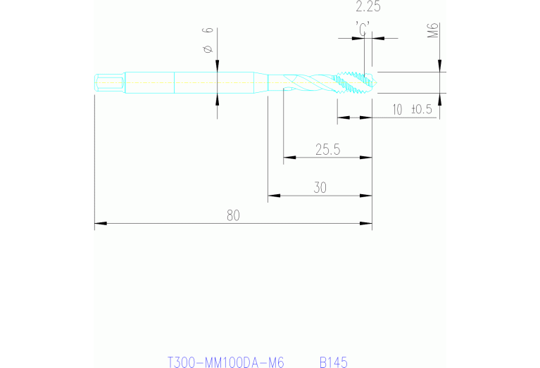 T300-MM100DA-M6 B145