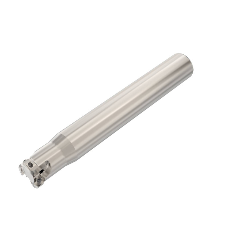 R217.21-1.00.0-LP06.3A