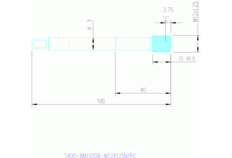 T400-NM101DB-M12X125N1PC