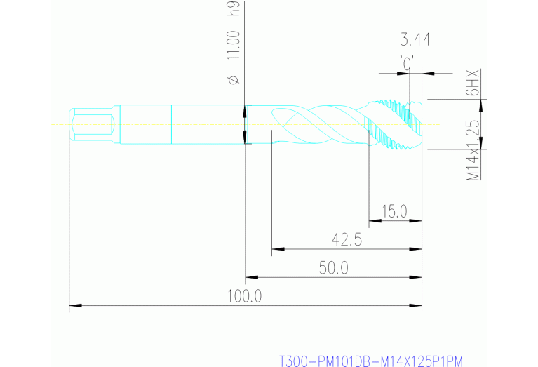 T300-PM101DB-M14X125P1PM