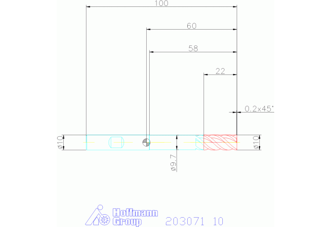 203071 10