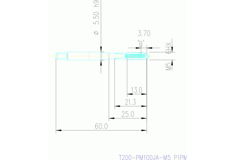 T200-PM100JA-M5 P1PM