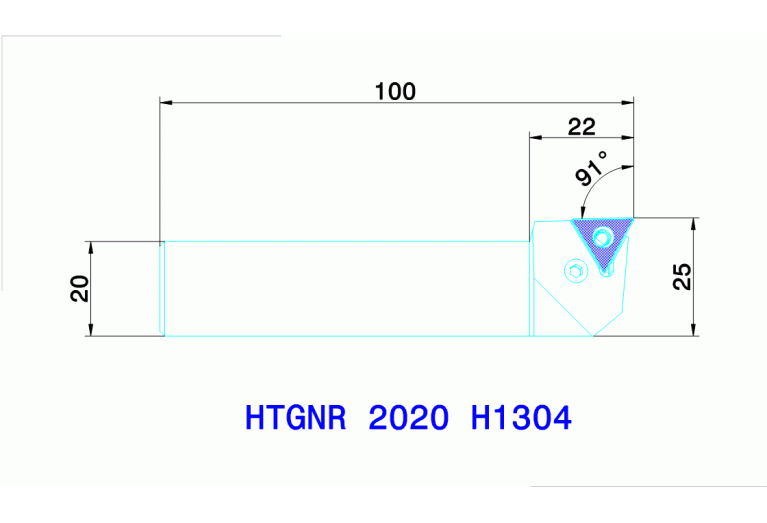 HTGNR 2020 H1304