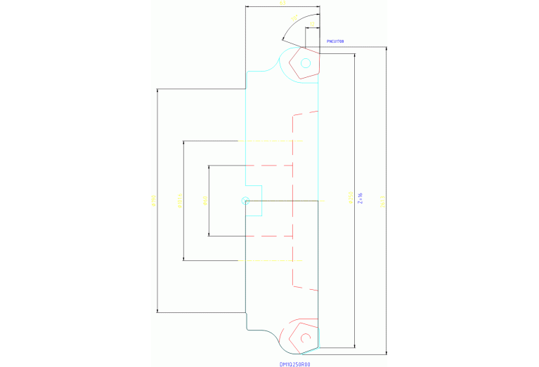 DM1Q250R00
