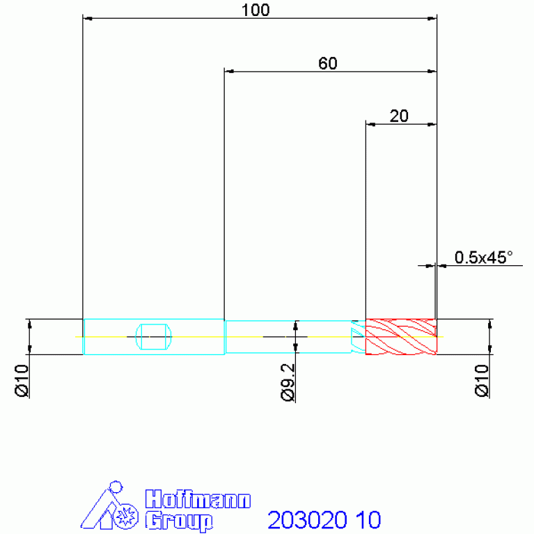 203020 10