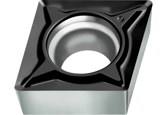 CCGT060202-FM2 WSM01