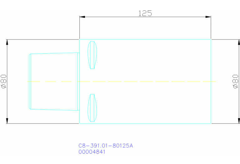 C8-391.01-80125A