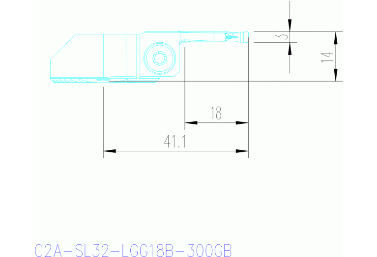 C2A-SL32-LGG18B-300GB