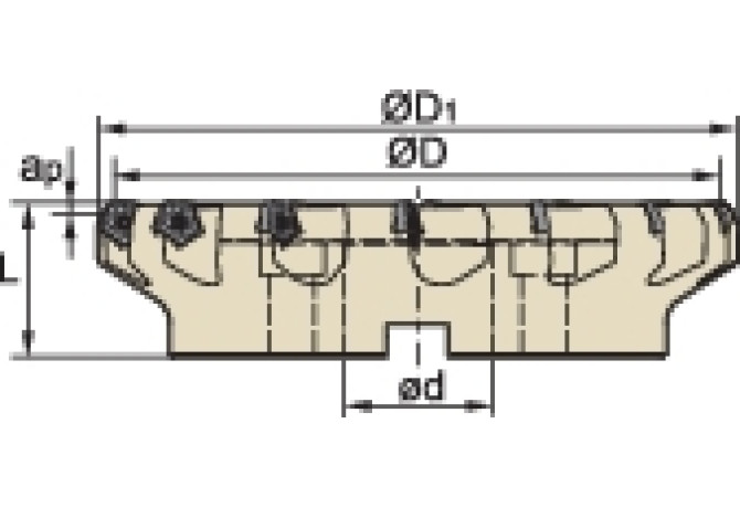FMD02-250-C60-PN11-18L