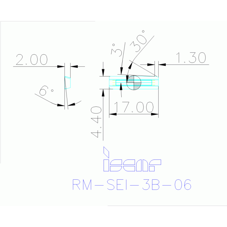 RM-SEI-3B-06 IC507