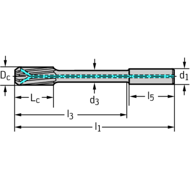 F2481TMS-8.02