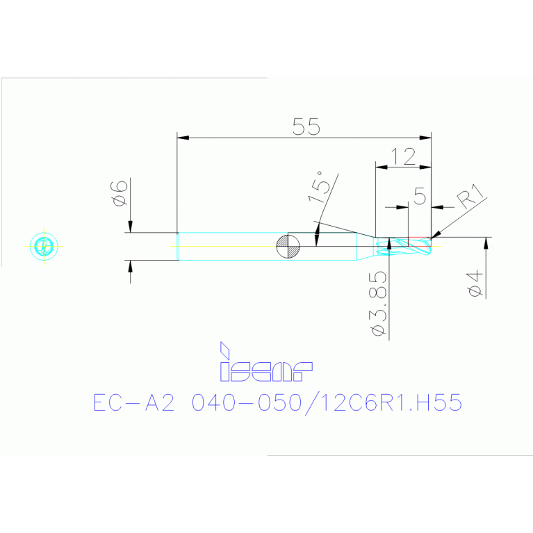 EC-A2 040-050/12C6R1.H55 IC702
