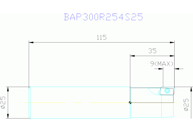 BAP300R254S25