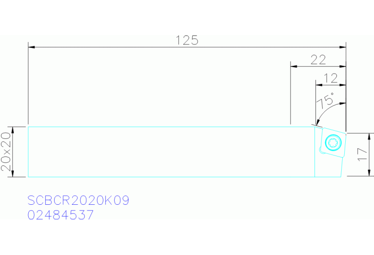 SCBCR2020K09