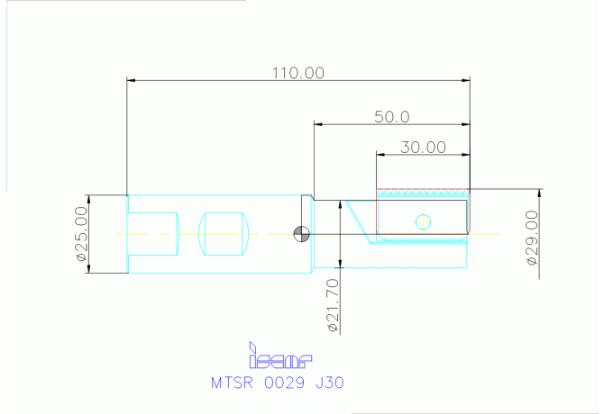 MTSR 0029 J30
