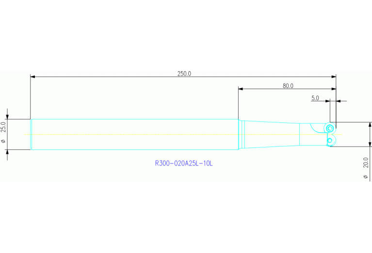 R300-020A25L-10L
