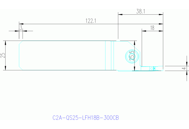 C2A-QS25-LFH18B-300CB