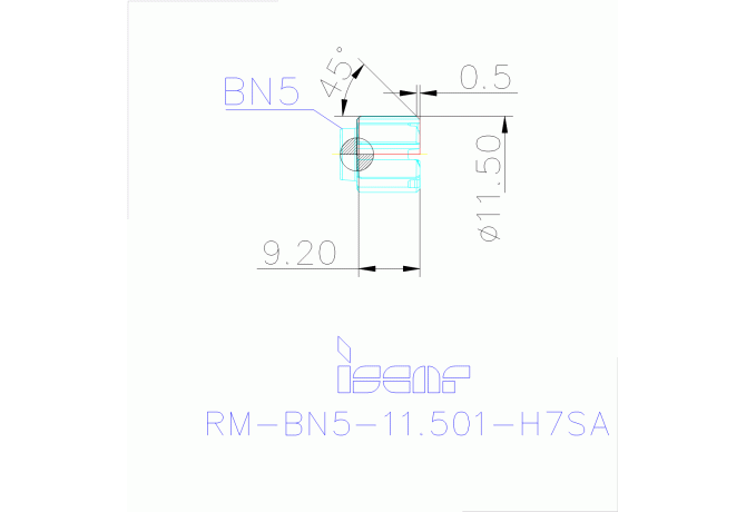RM-BN5-11.501-H7SA IC08