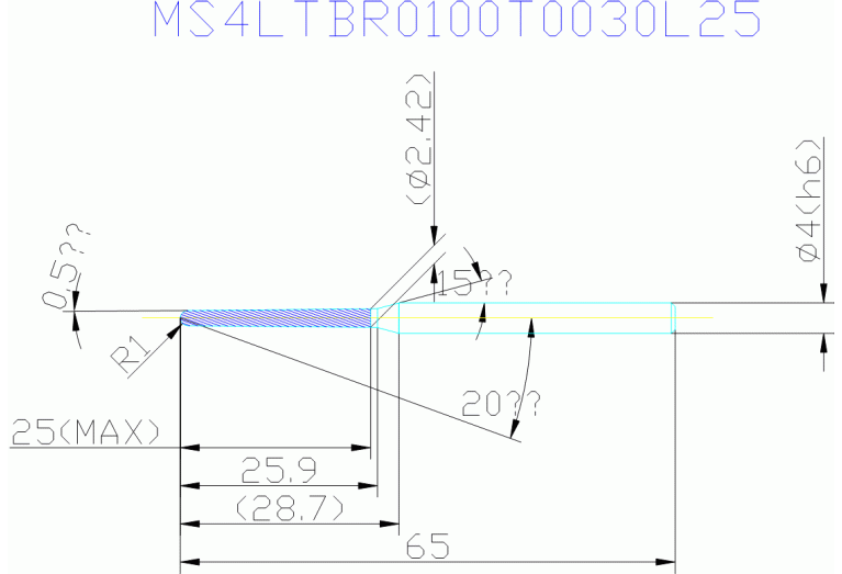 MS4LTBR0100T0030L25