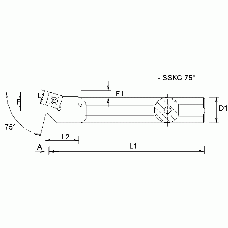 A25TSSKCL12