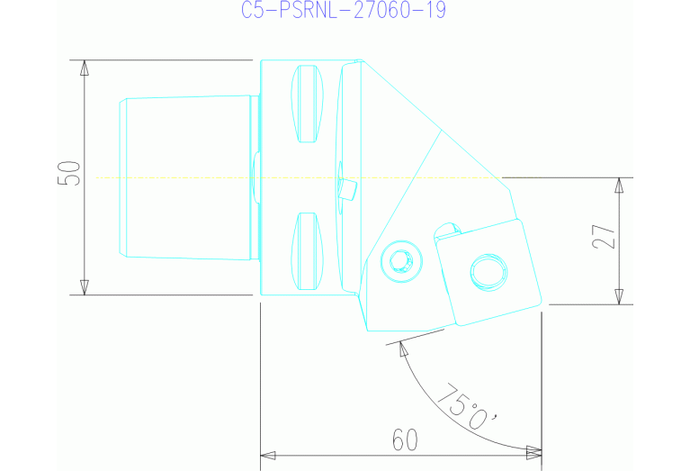 C5-PSRNL-27060-19