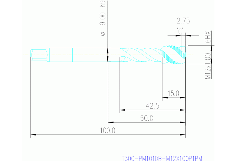 T300-PM101DB-M12X100P1PM