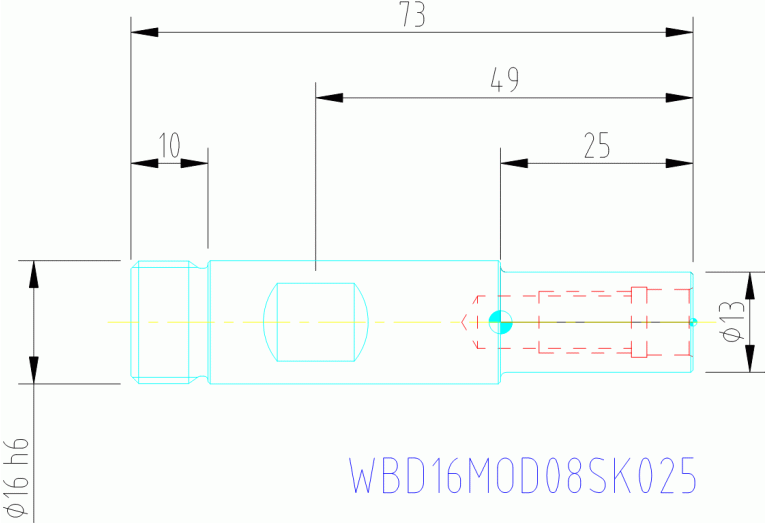 WBD16 MOD08 SK025